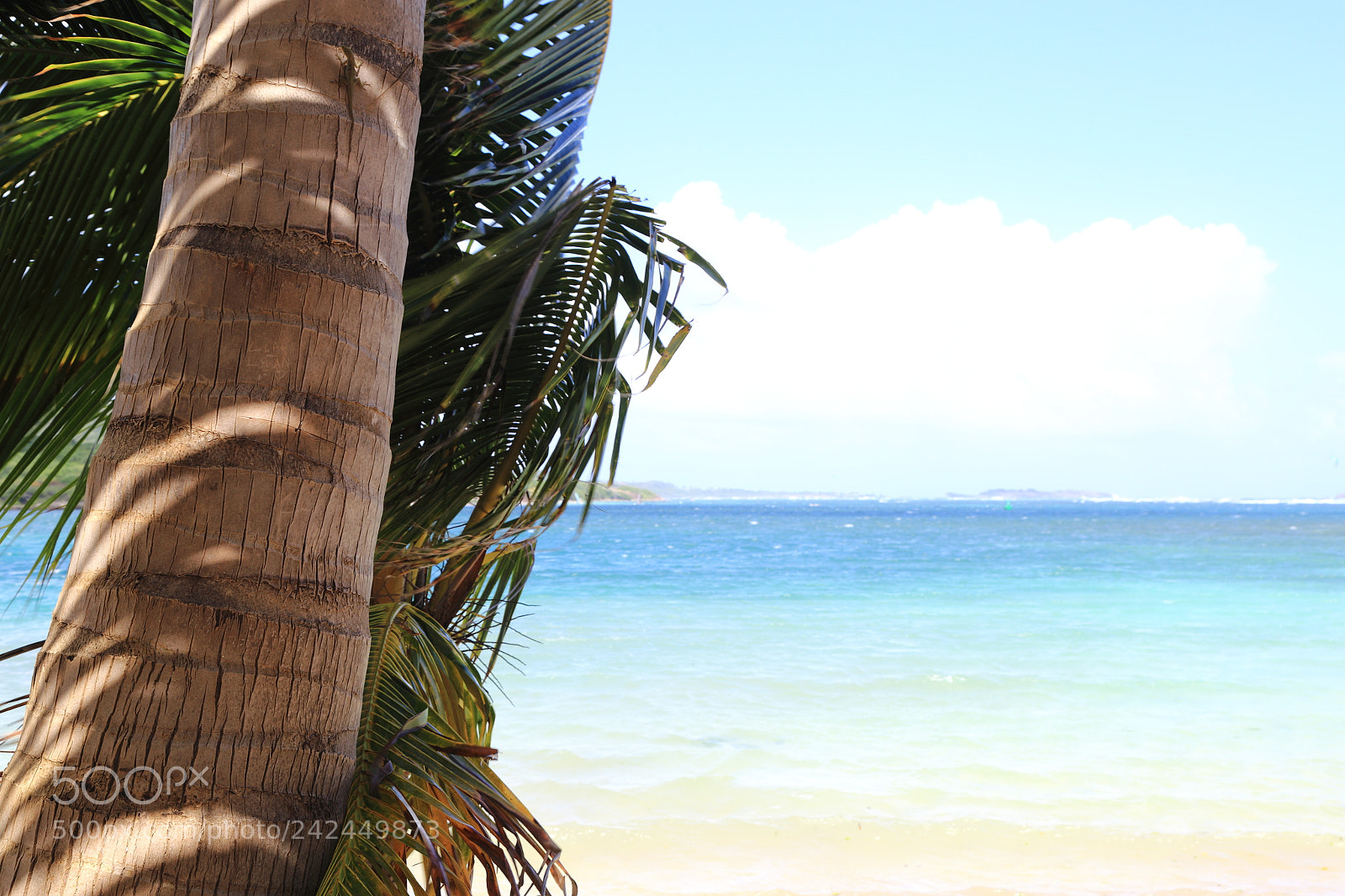 Canon EOS 6D + Canon EF 24-105mm F4L IS USM sample photo. Carribean light photography