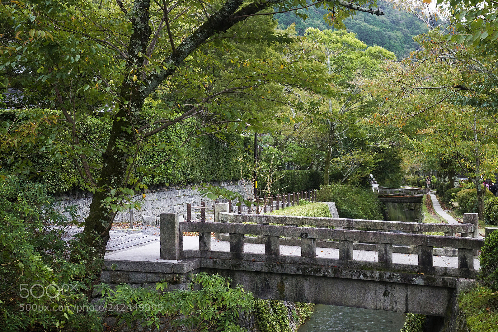 Canon EOS M sample photo. The philosopher's path bridges photography
