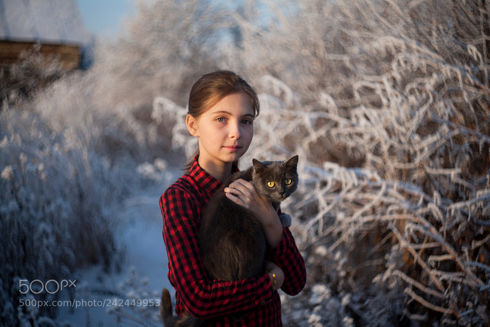 Canon EOS 5D sample photo. Dasha photography