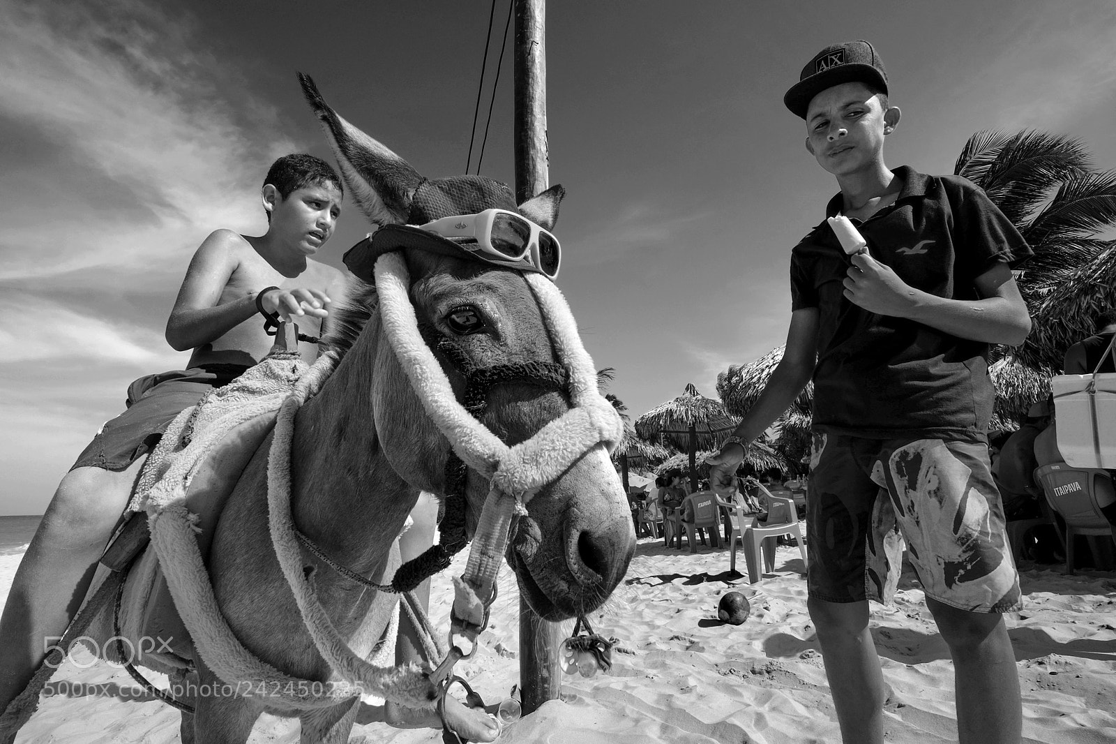Fujifilm X-T1 sample photo. O jegue photography