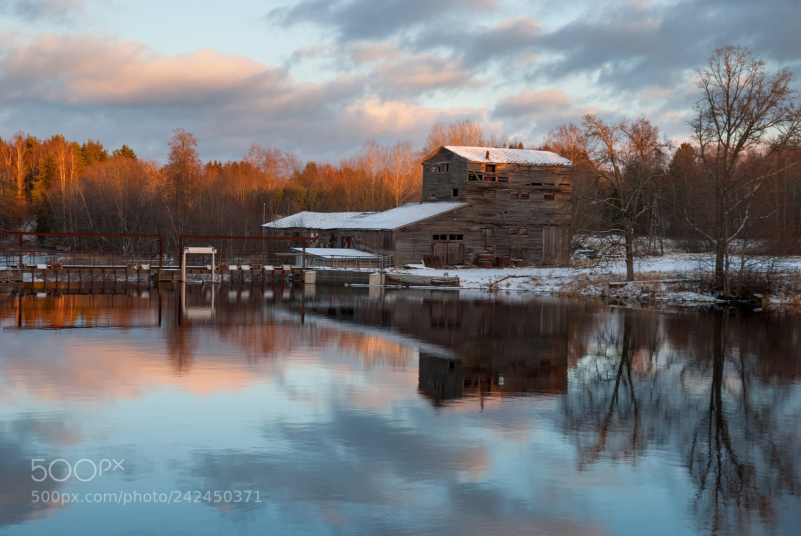 Nikon D80 sample photo. Vetla. harju, estonia photography