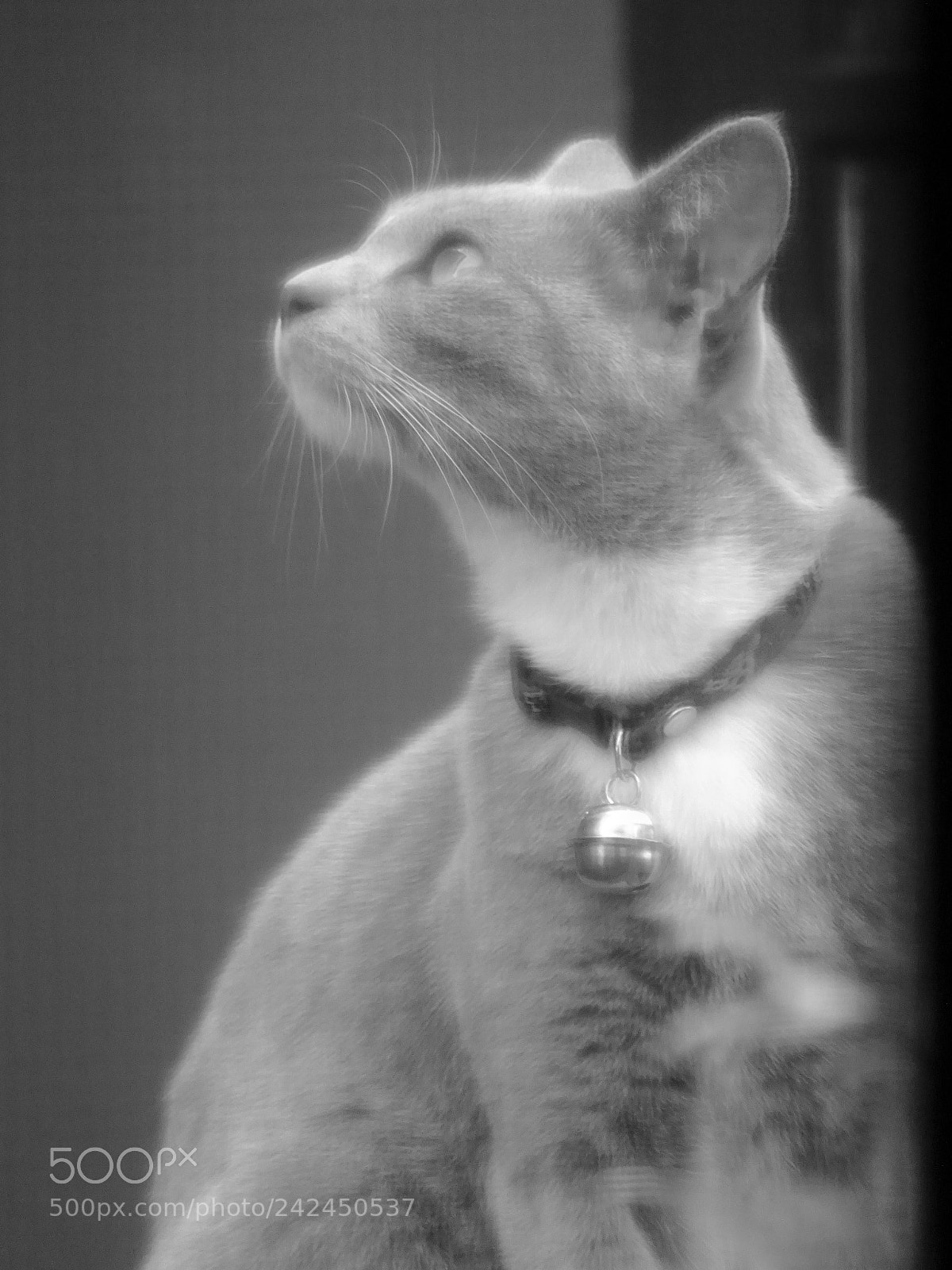 Sony Cyber-shot DSC-HX90V sample photo. Dsc03368 photography