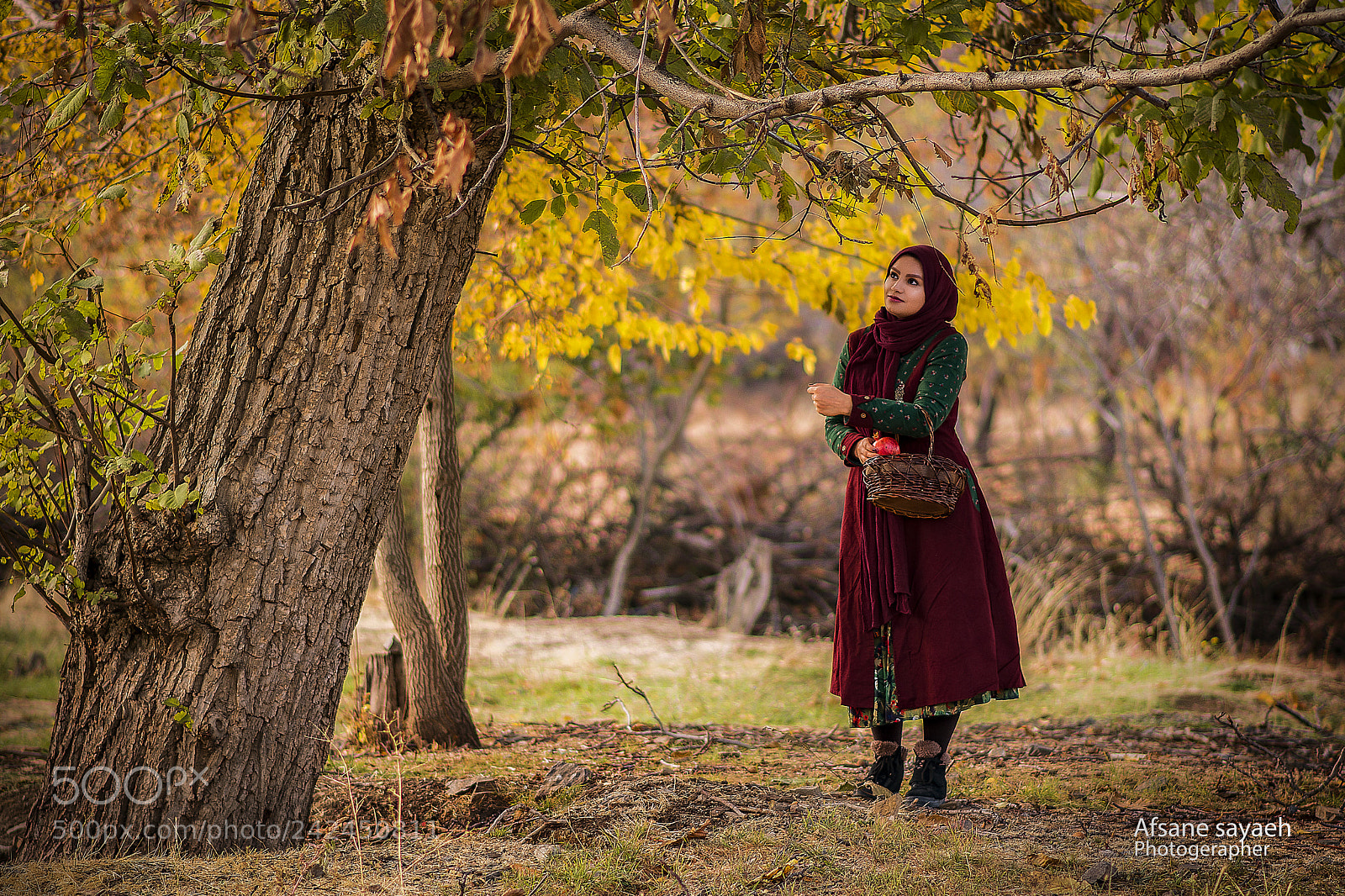 Nikon D7100 sample photo. Untitled photography