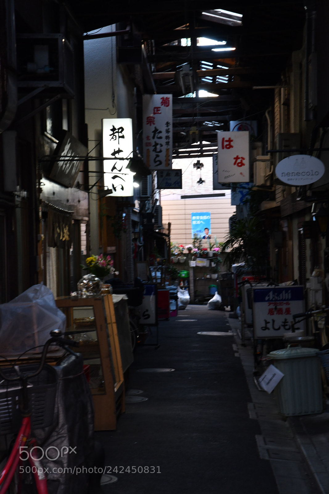 Nikon D500 sample photo. 谷根千 photography