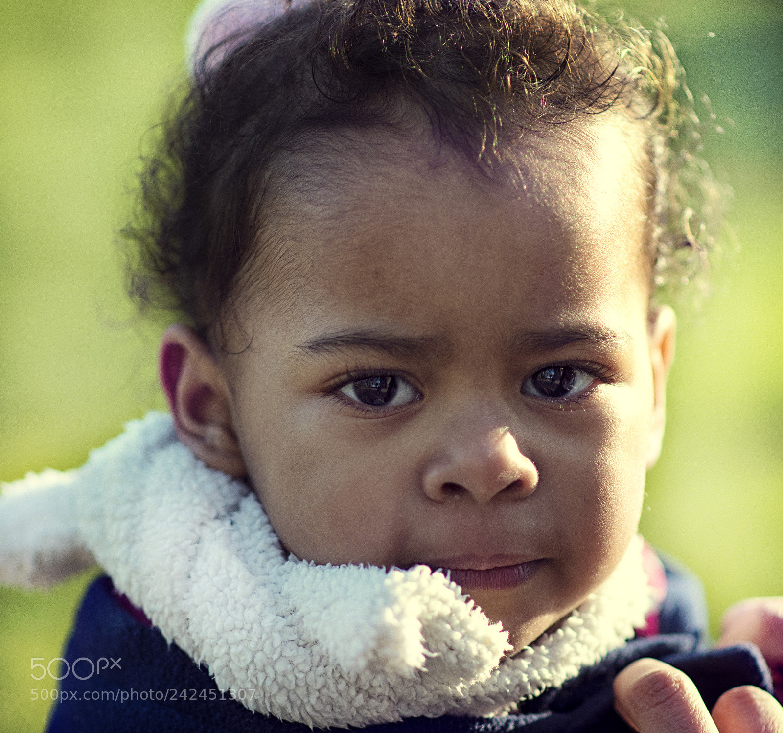 Nikon D5500 sample photo. Untitled photography