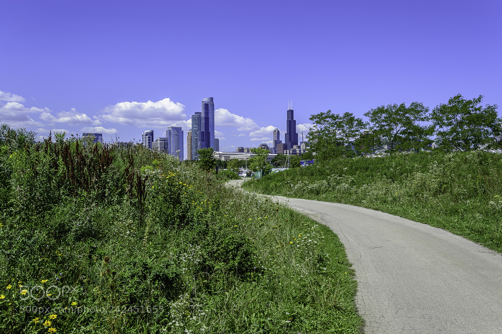 Nikon D3200 sample photo. Urban path photography