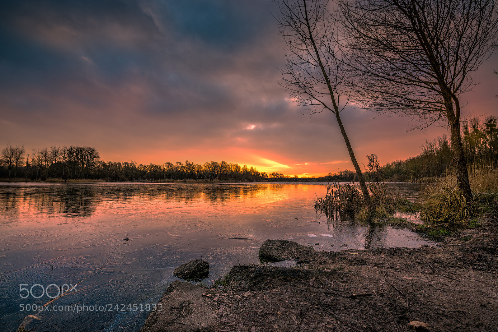 Nikon D810 sample photo. In the morning photography