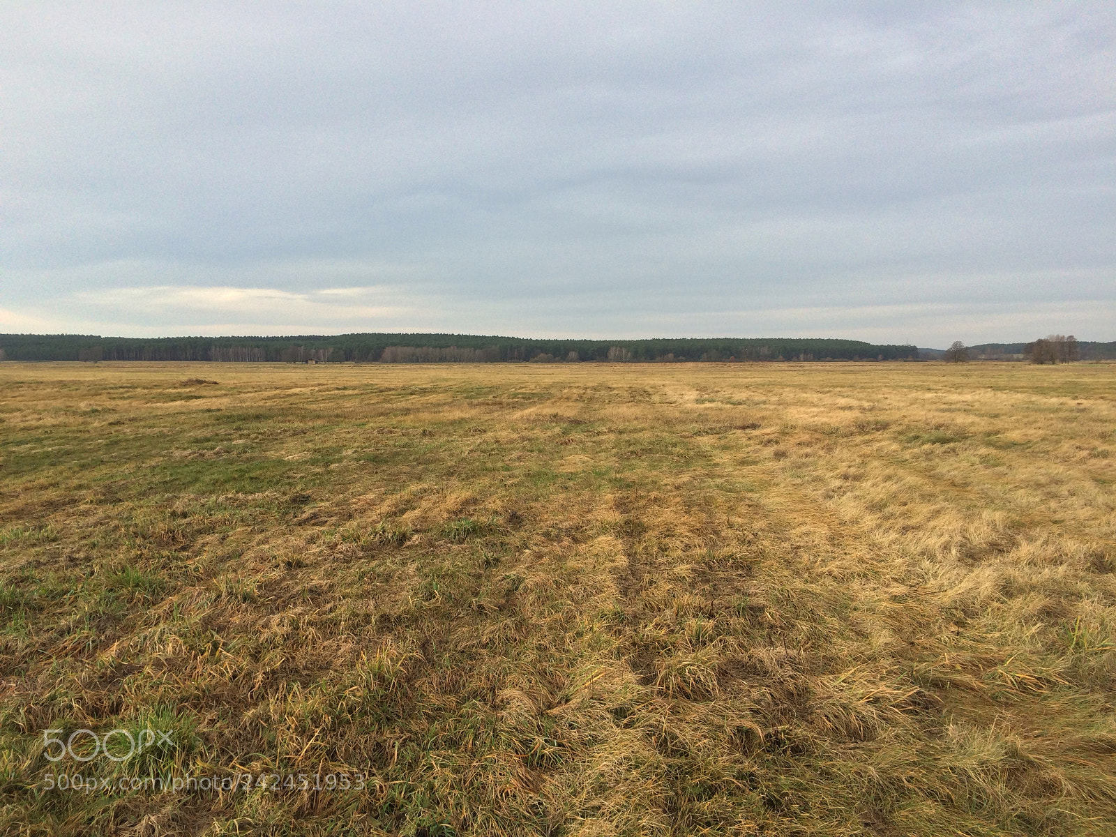 Apple iPhone 5s sample photo. Cloudy field photography