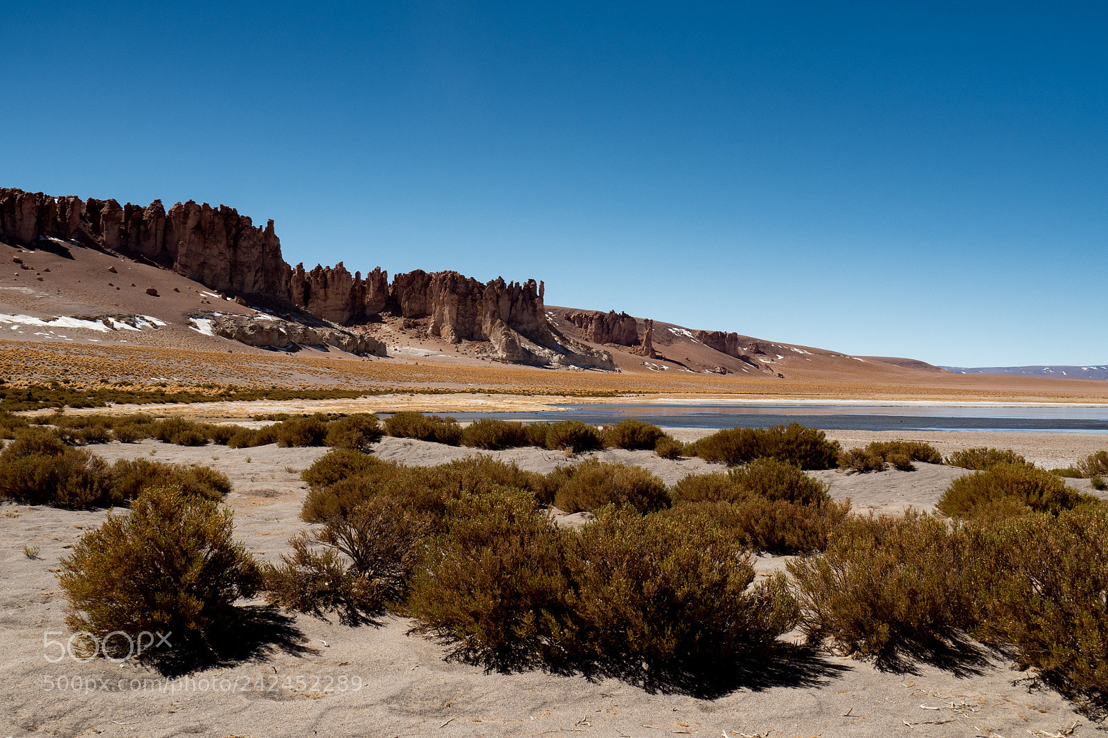Olympus OM-D E-M5 II sample photo. Salar de tara photography