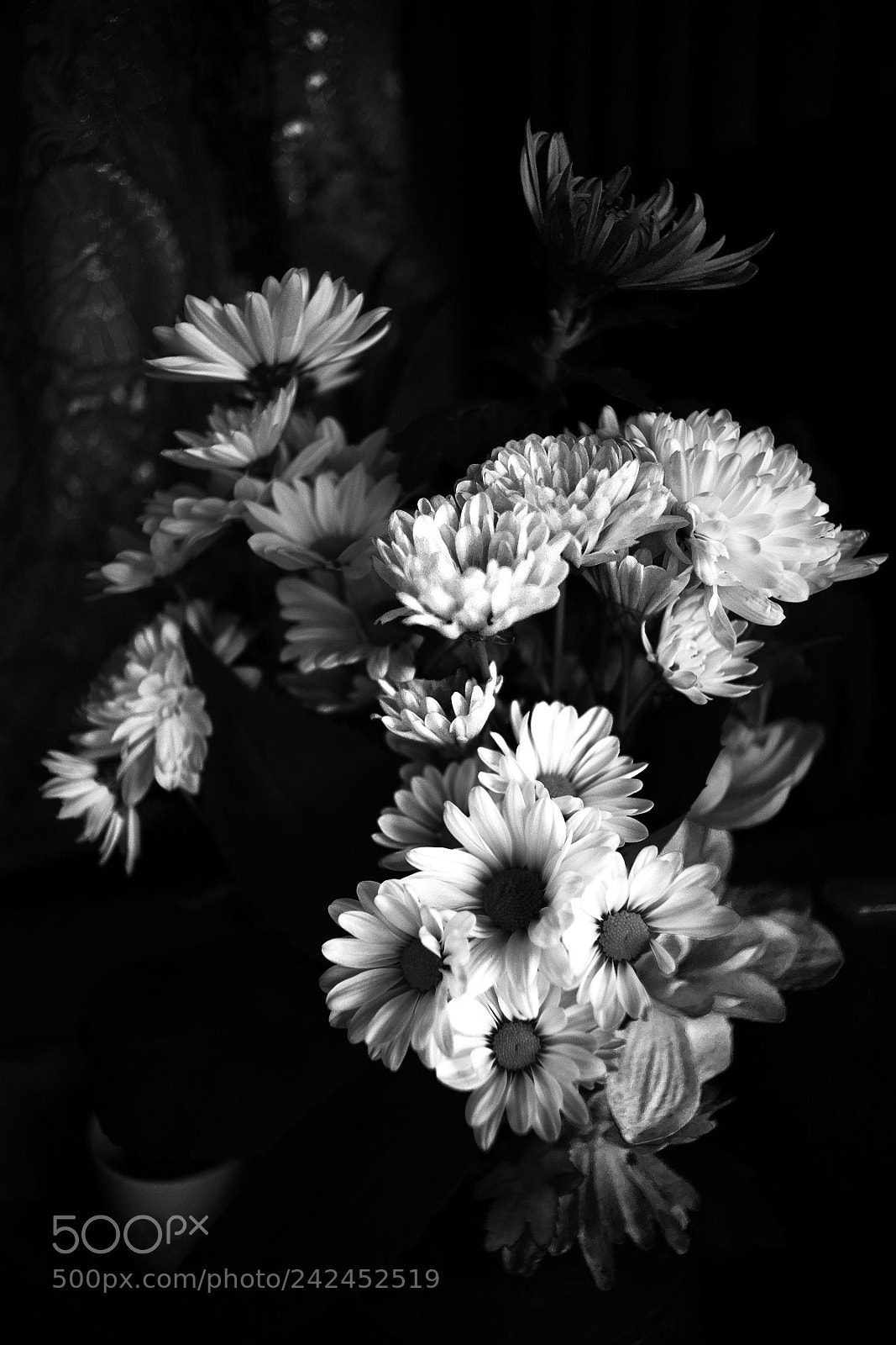 Sony Alpha DSLR-A900 sample photo. Bwslk photography