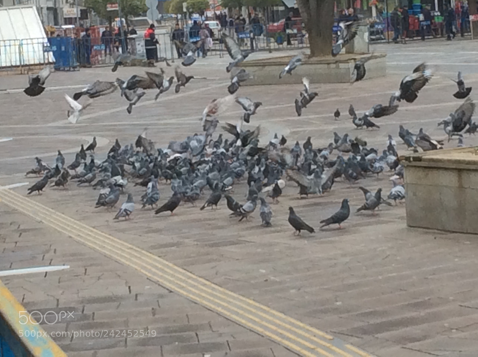 Apple iPad Air sample photo. Good morning photography