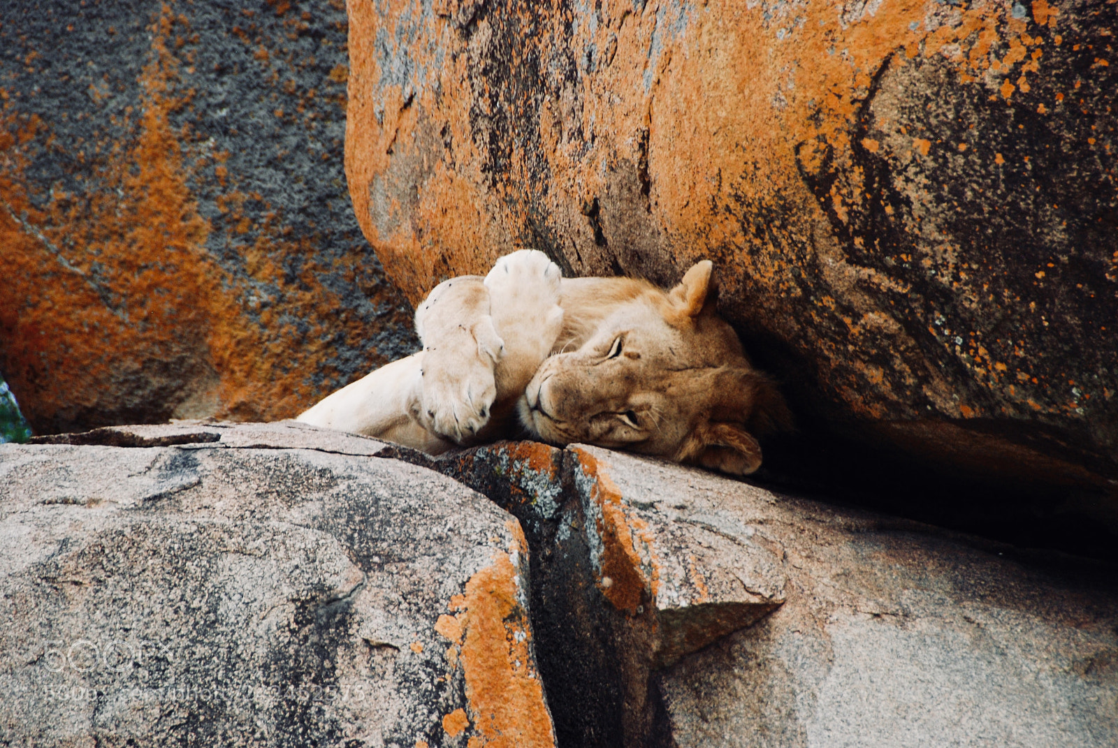 Nikon D80 sample photo. Tanzania photography