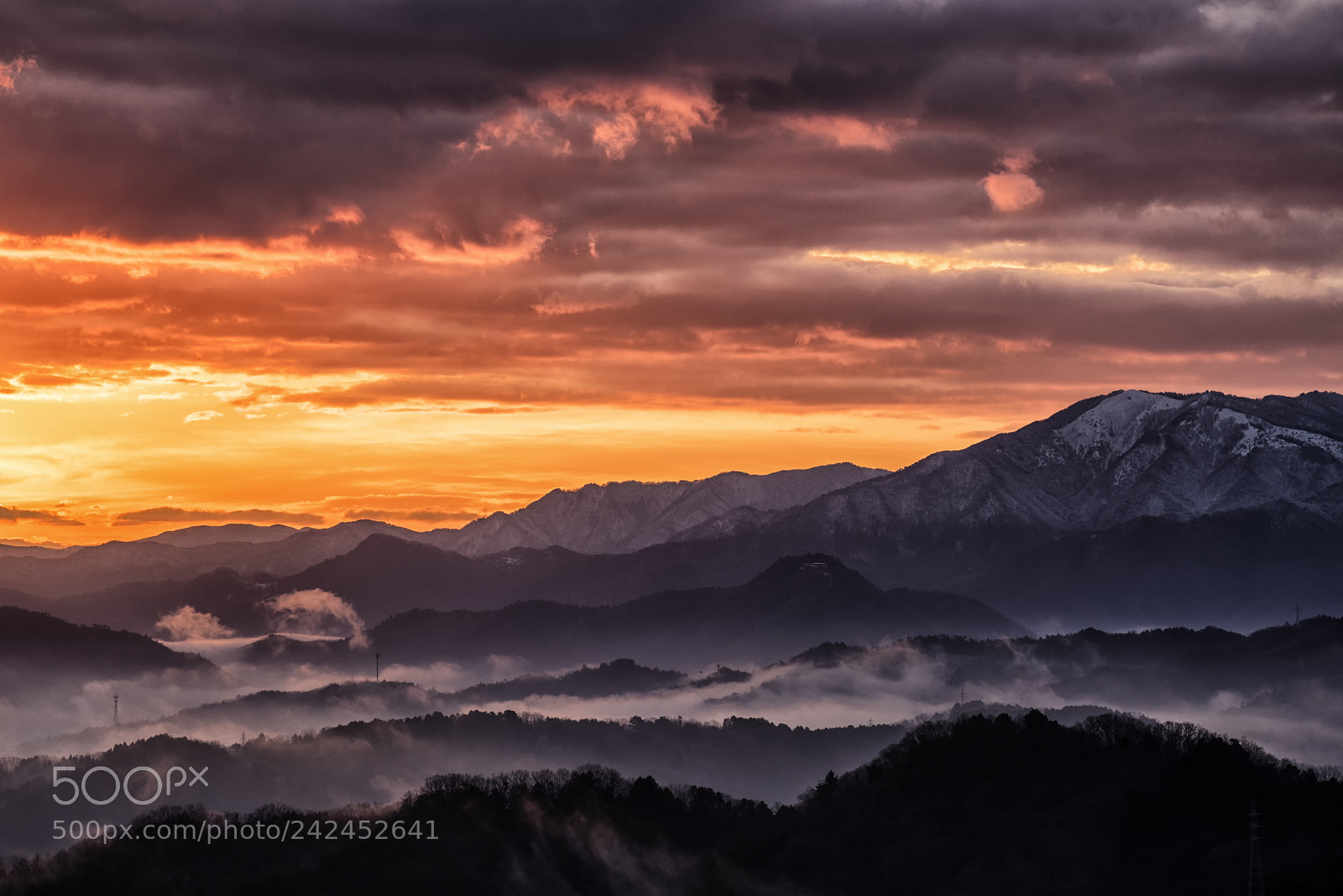 Nikon D810 sample photo. Morning glow photography