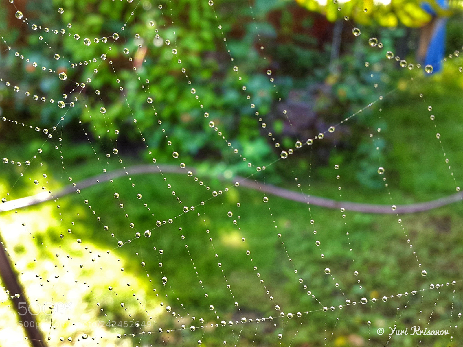 Samsung Galaxy Alpha sample photo. Drops of water on photography
