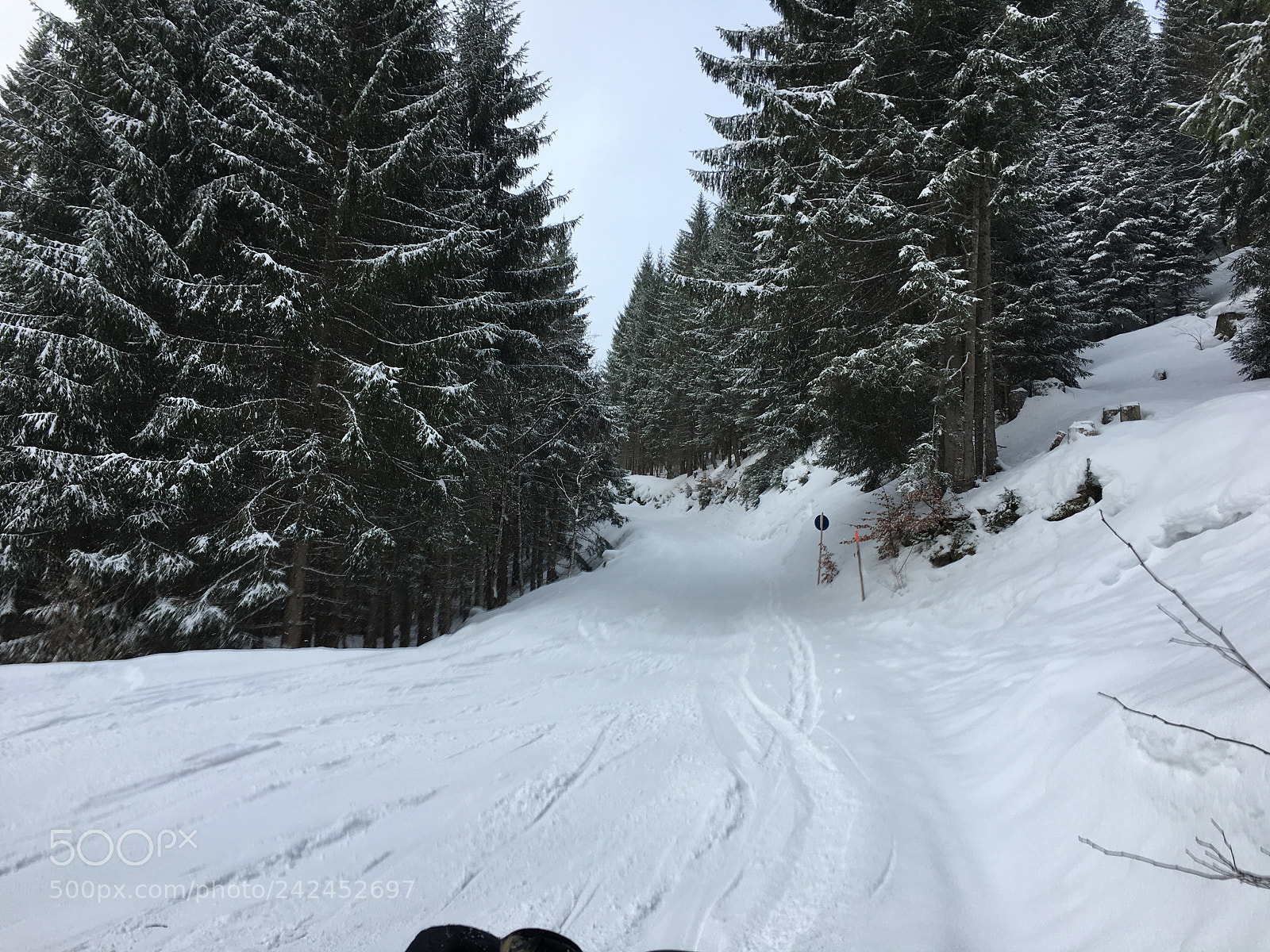 Apple iPhone 6s Plus sample photo. Skiing photography