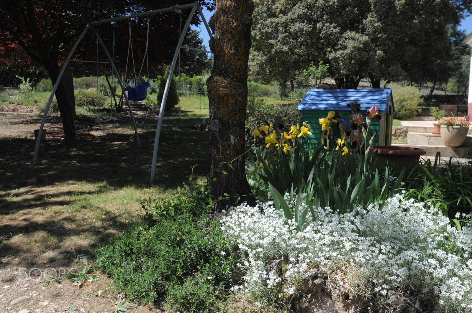 Nikon D700 sample photo. Colores de mayo photography