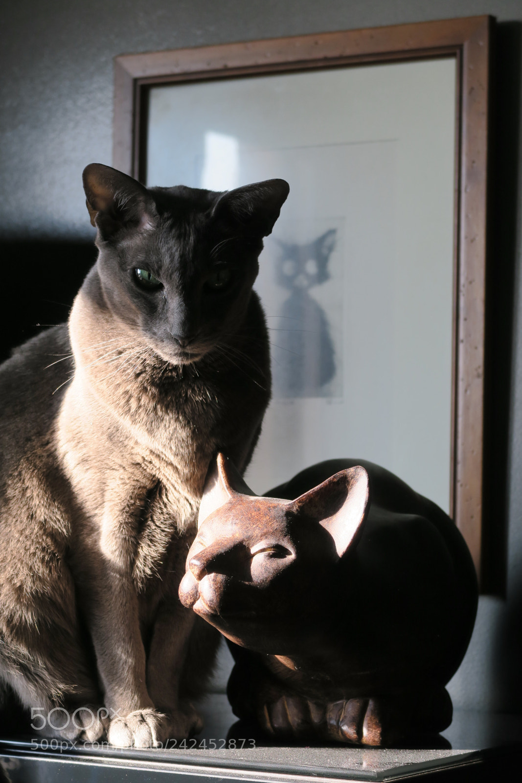 Canon PowerShot G5 X sample photo. 3 cats in da house photography