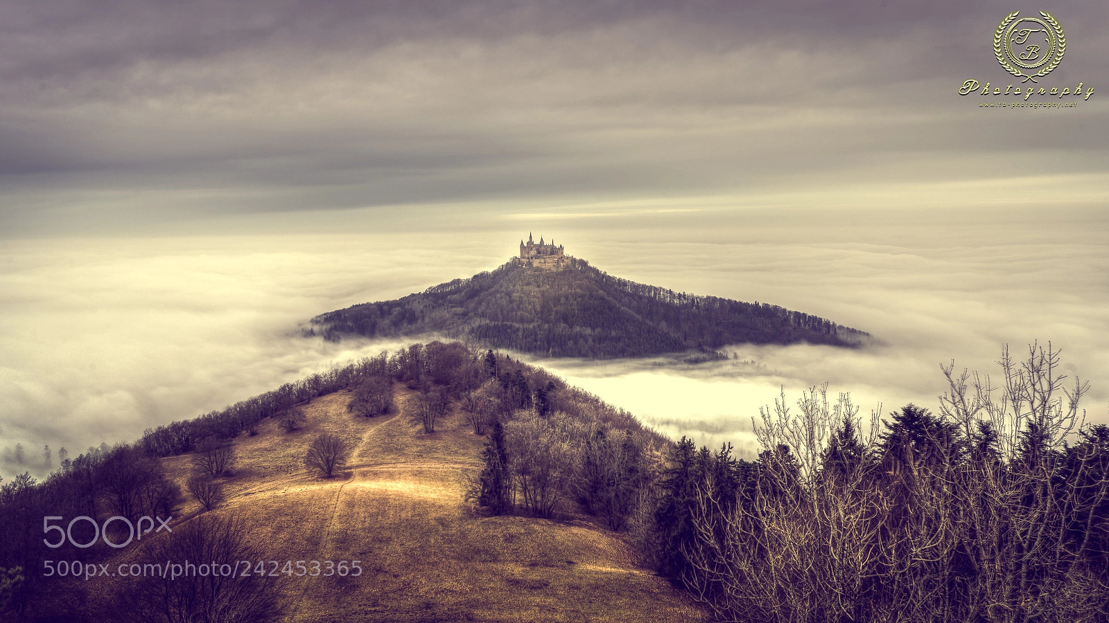 Nikon D800 sample photo. Burg hohenzollern wolken schloss photography