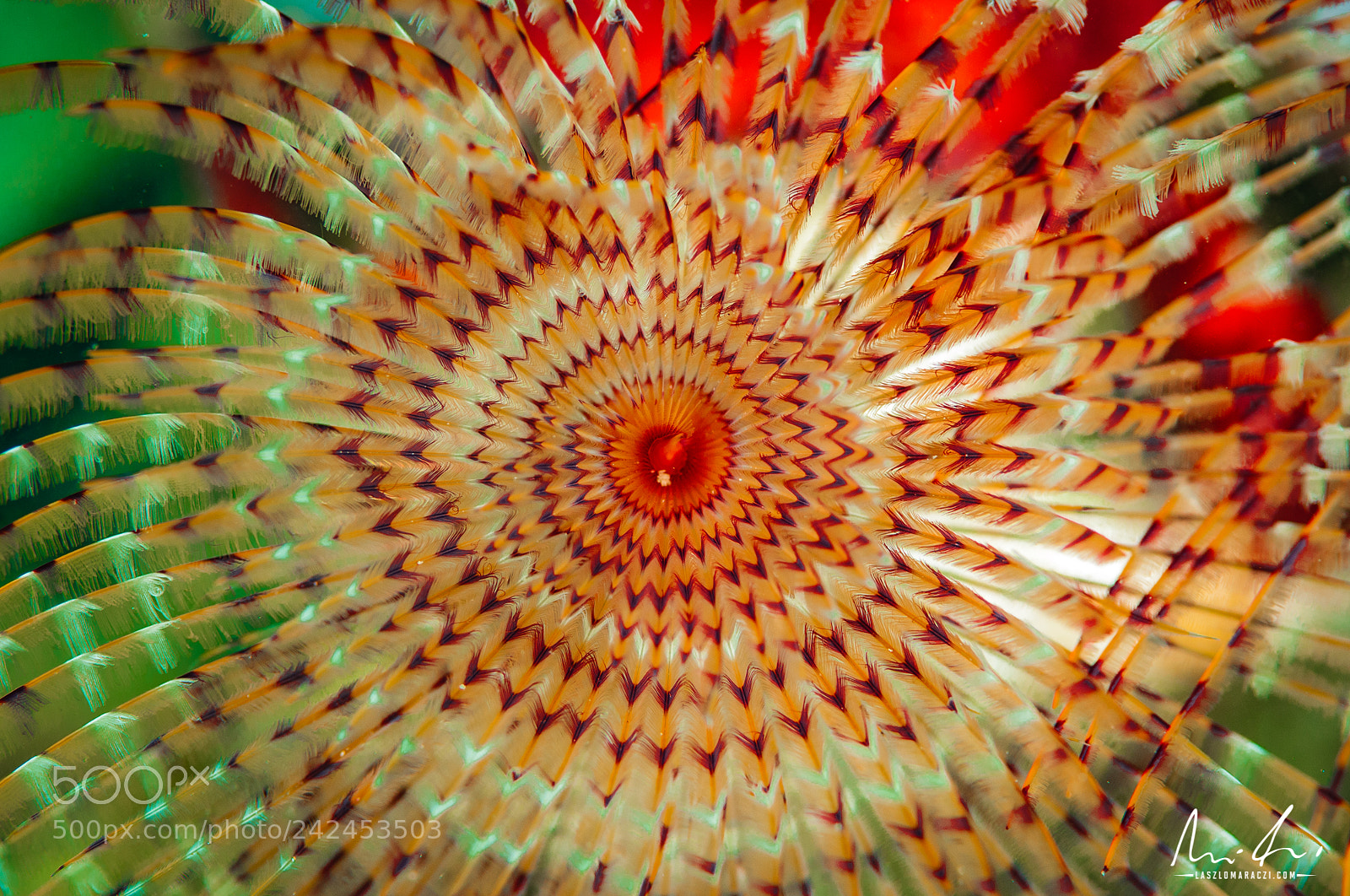 Nikon D300 sample photo. Spiral photography