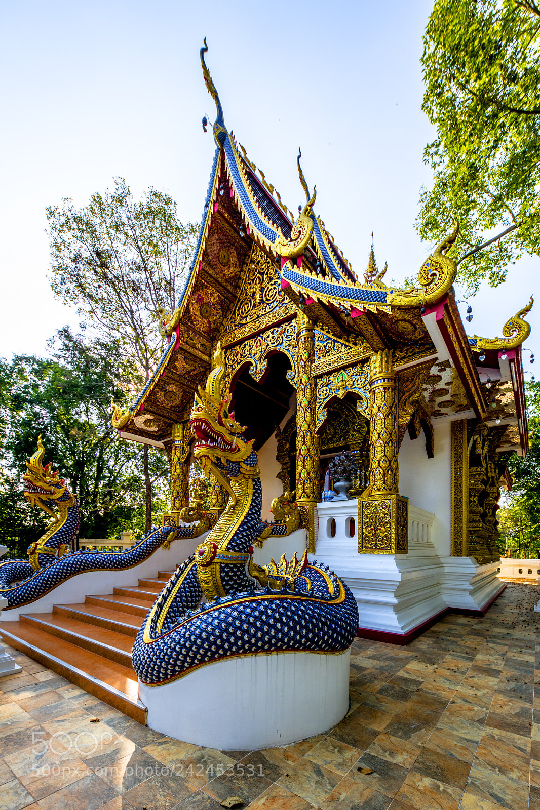 Nikon D850 sample photo. Les dragons bleus photography