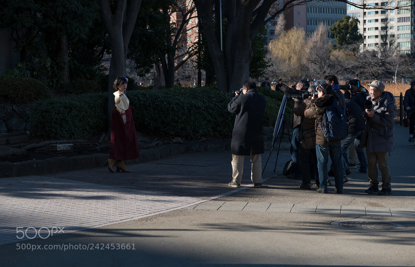 Nikon D850 sample photo. Photo session photography