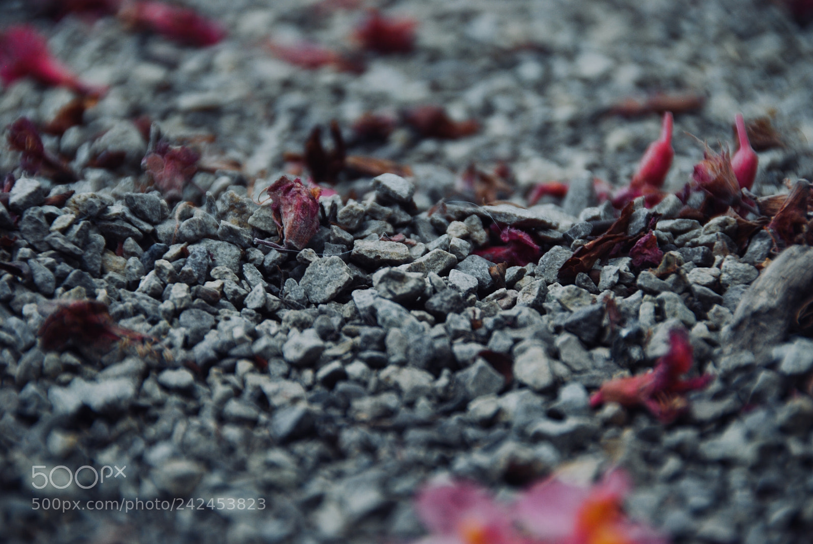 Nikon D80 sample photo. Untitled photography