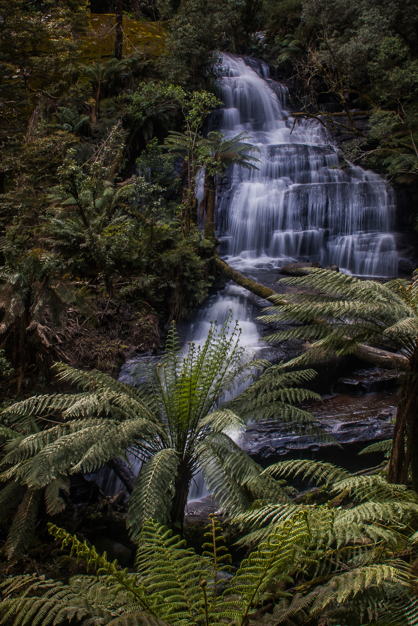 Pentax *ist DS sample photo. Triplet falls recall photography