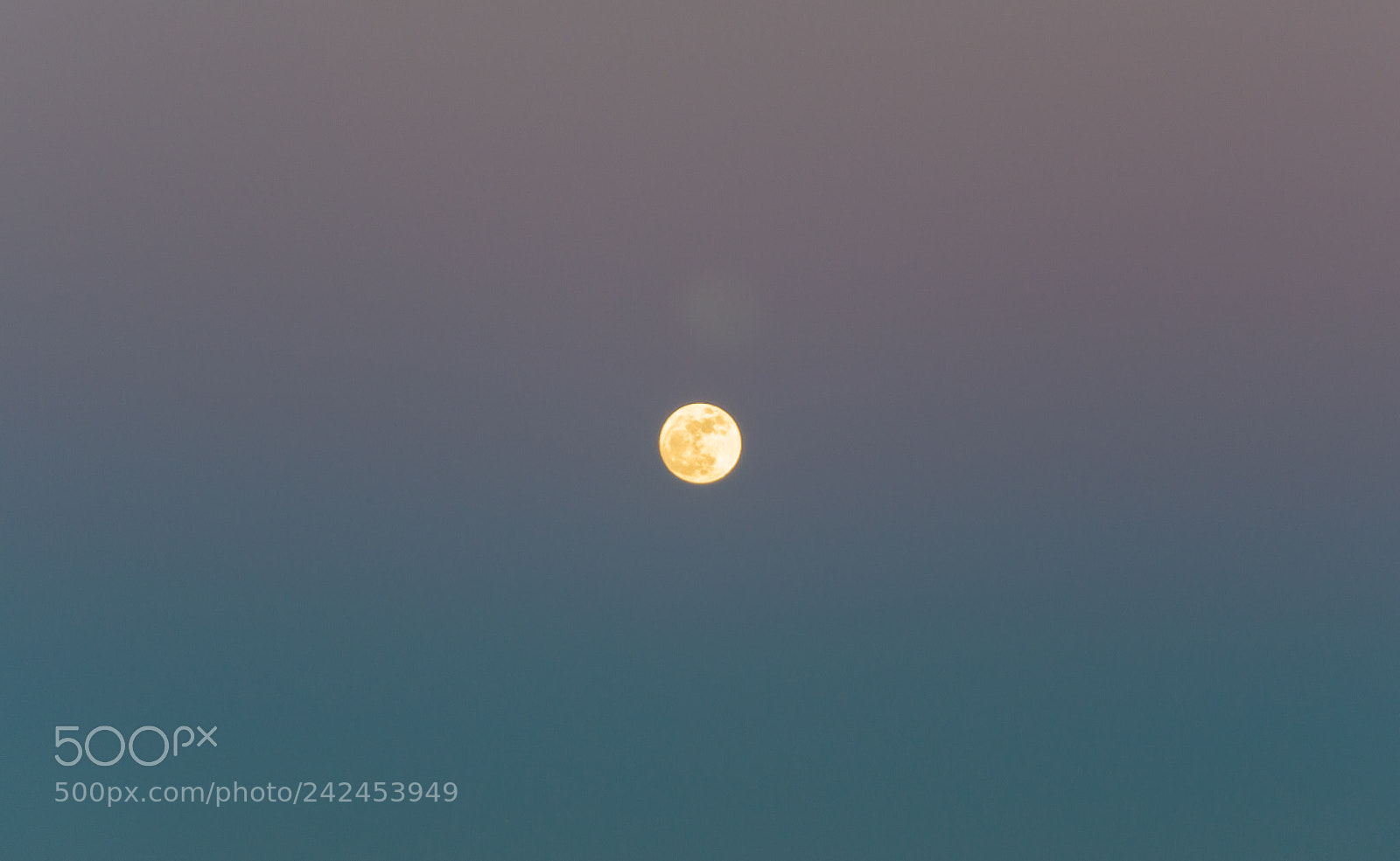 Nikon D3200 sample photo. Last super moon photography