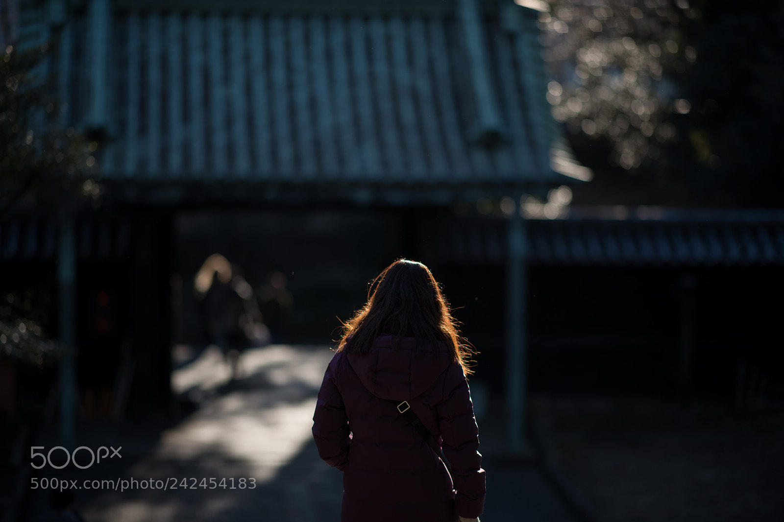 Nikon D850 sample photo. Woman photography