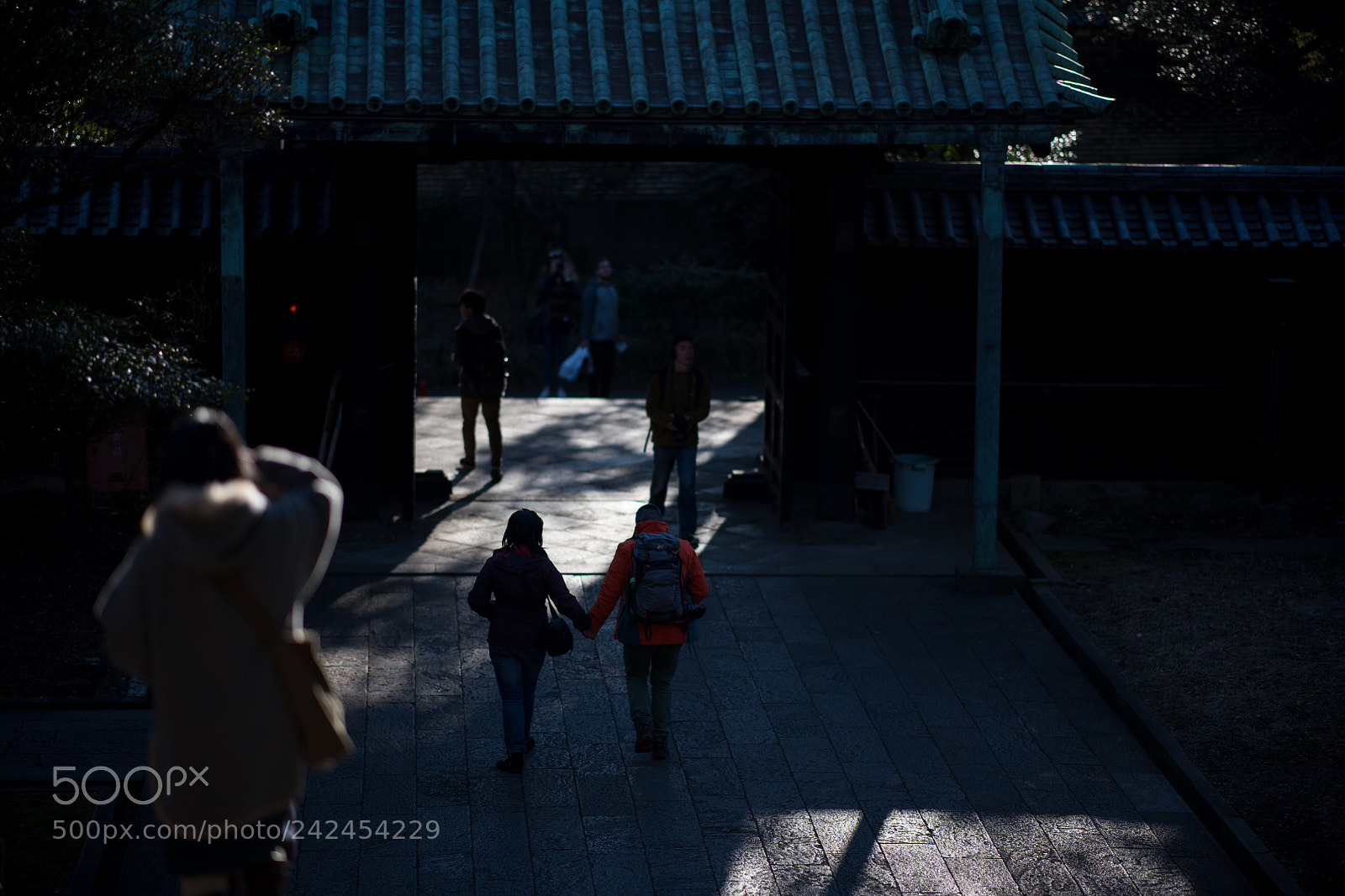 Nikon D850 sample photo. 羨ましい photography