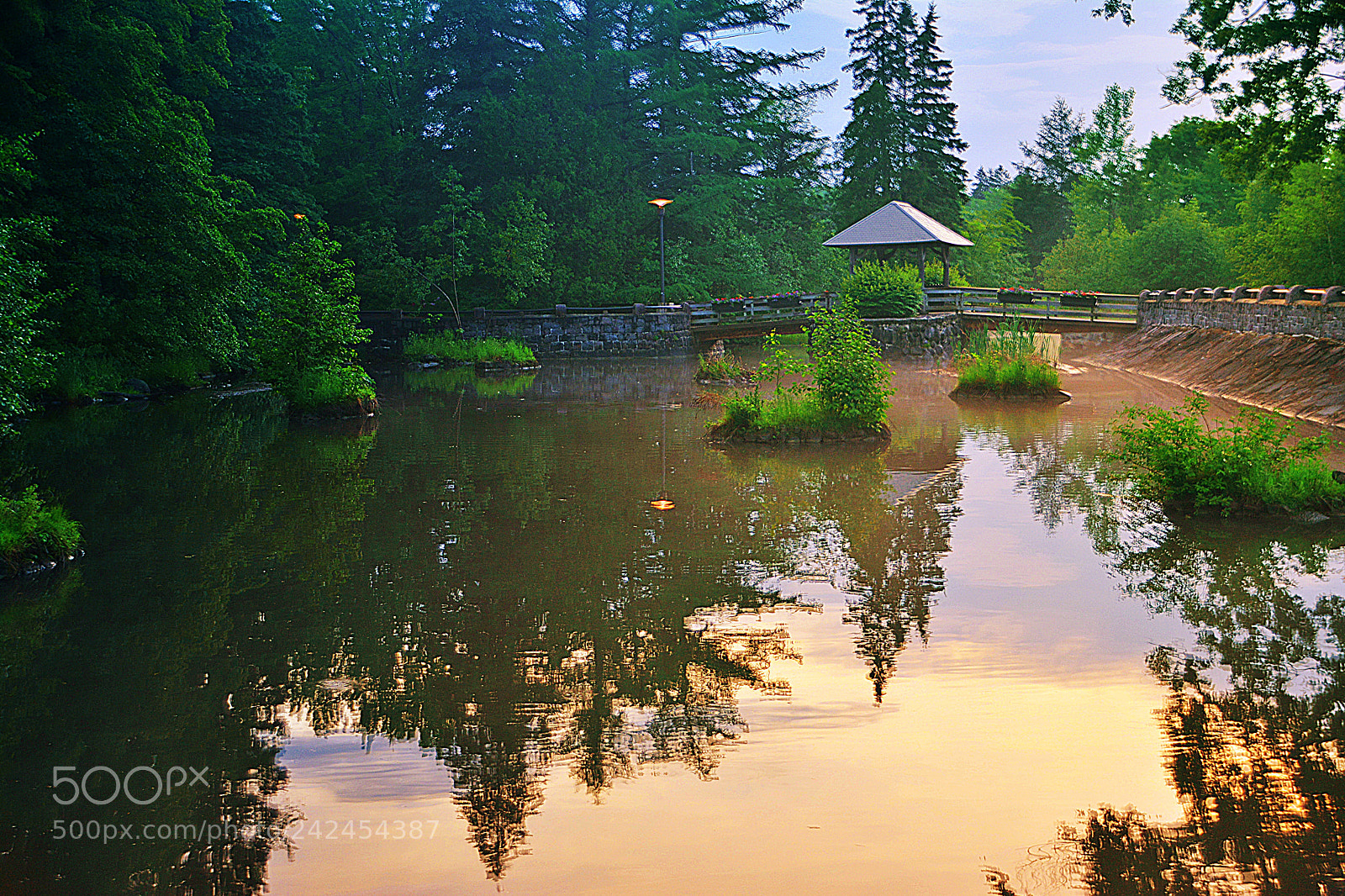 Nikon D7100 sample photo. Pause zen photography