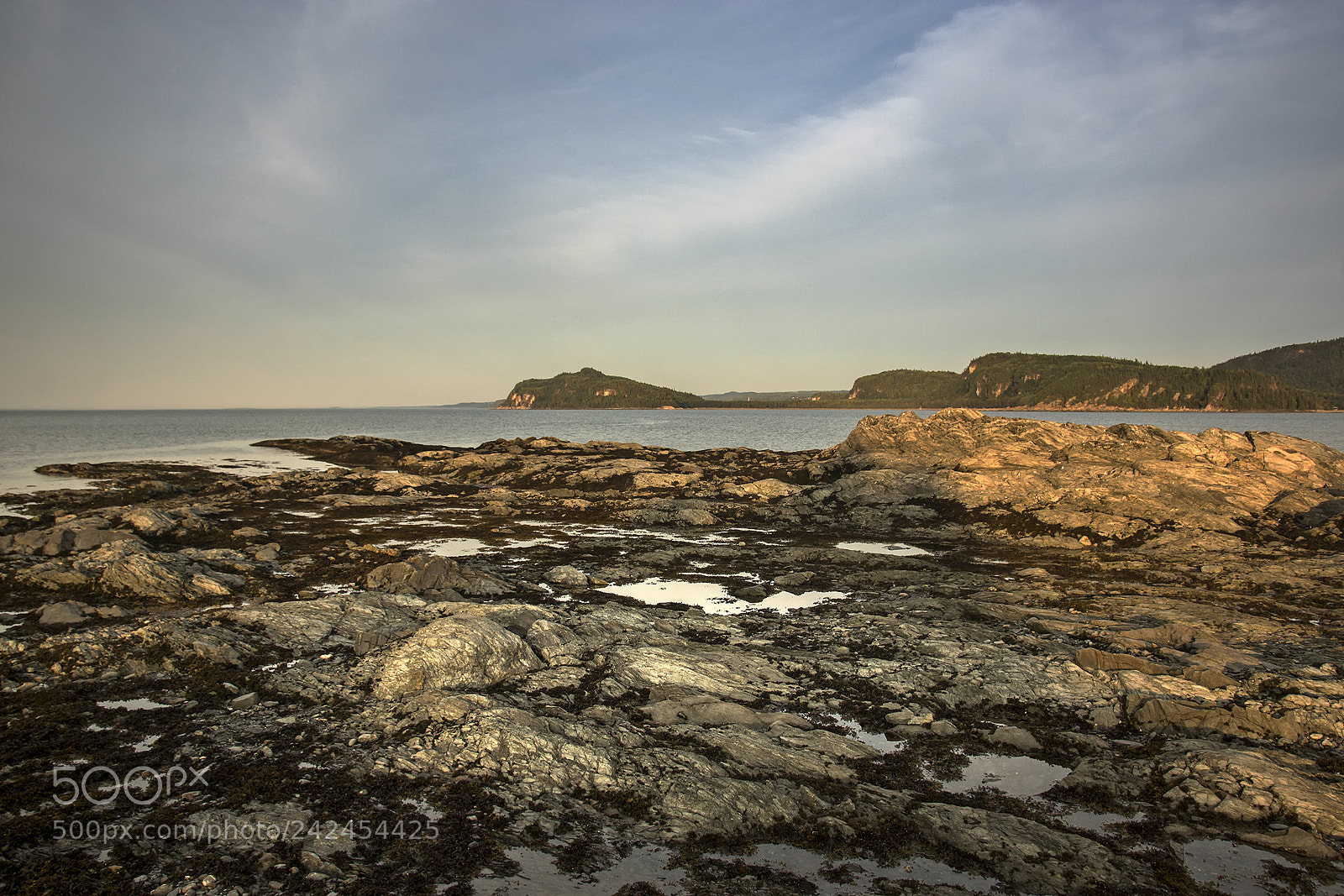 Sony SLT-A65 (SLT-A65V) sample photo. Parc du bic, golden photography