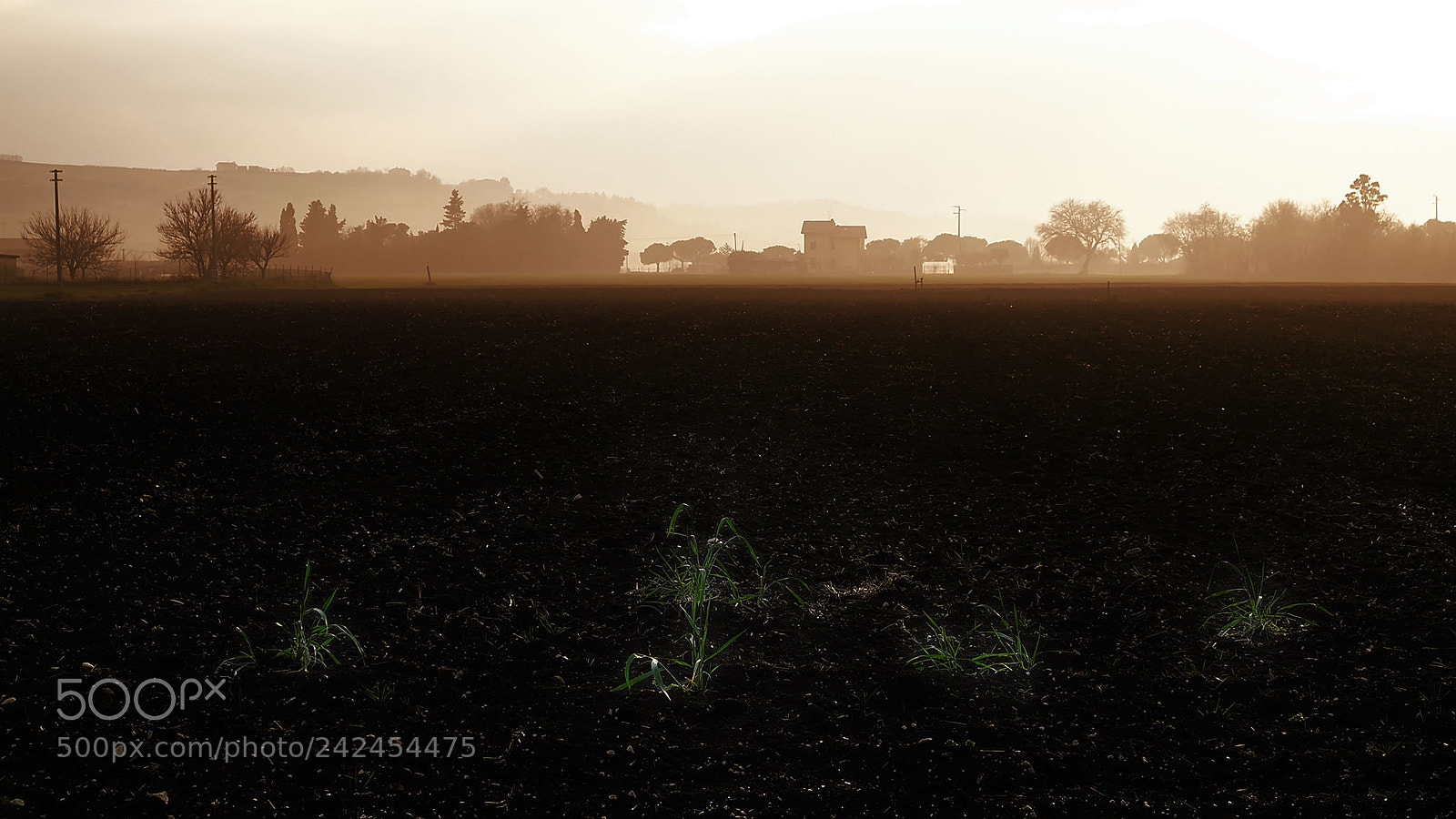 Fujifilm X-T20 sample photo. Countryside photography