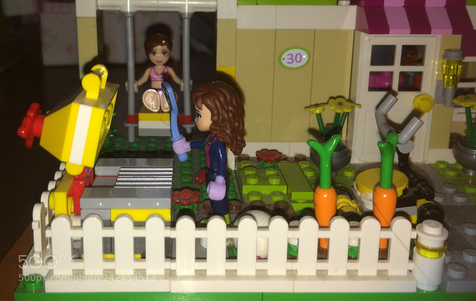 Apple iPhone 5s sample photo. Il giardino con il photography
