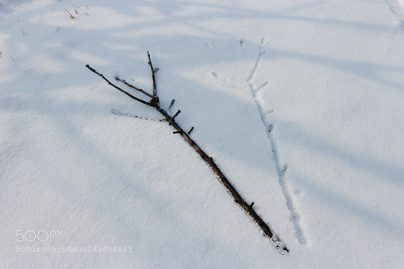 Canon EOS M10 sample photo. Untitled photography
