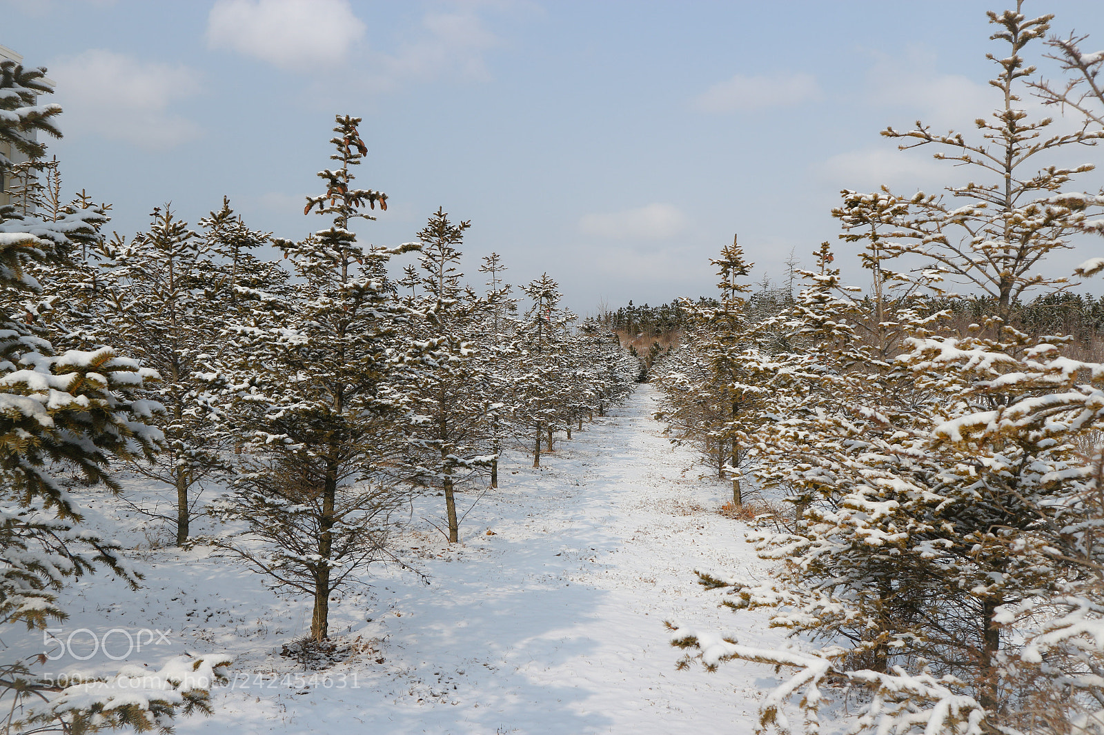 Canon EOS M10 sample photo. Untitled photography