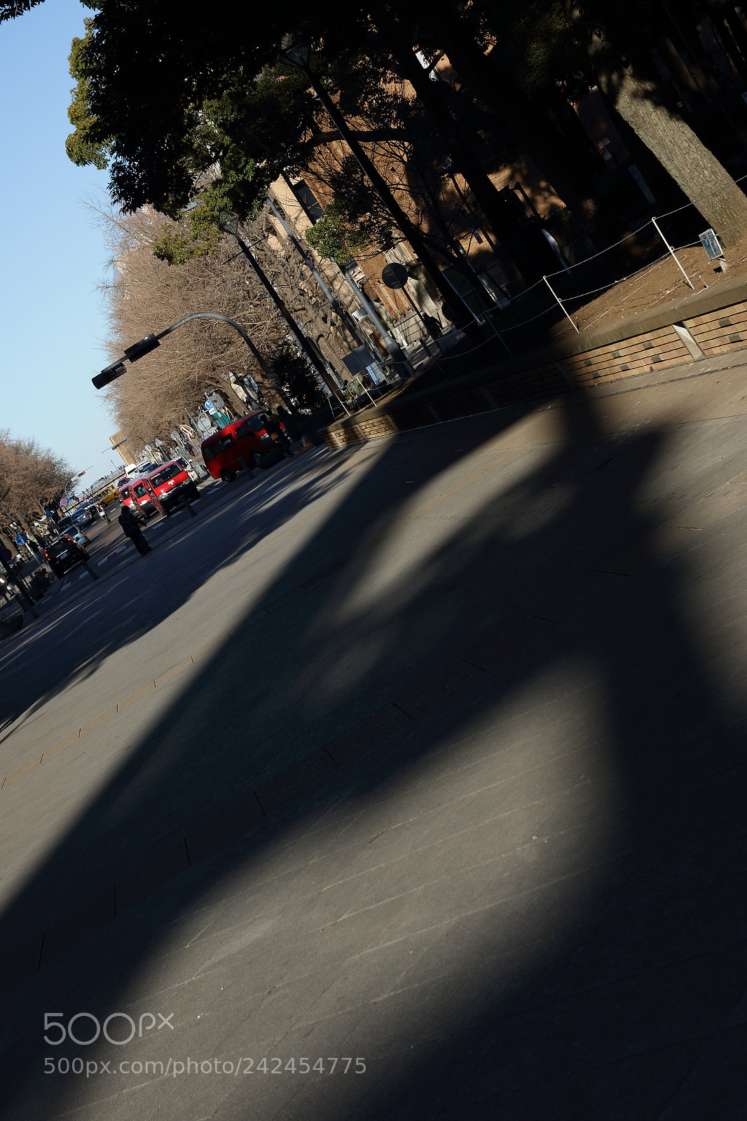 Canon EOS 7D Mark II sample photo. Shadow photography