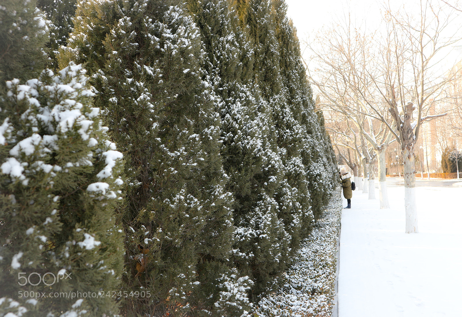 Canon EOS M10 sample photo. Untitled photography