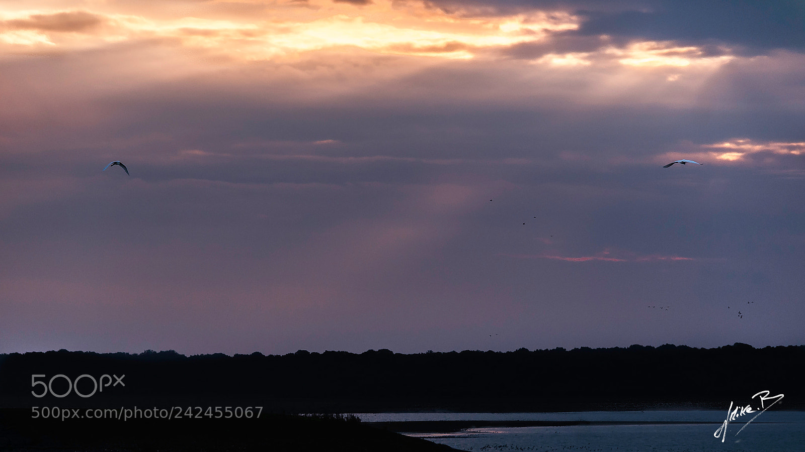 Nikon D300S sample photo. Lac du der photography