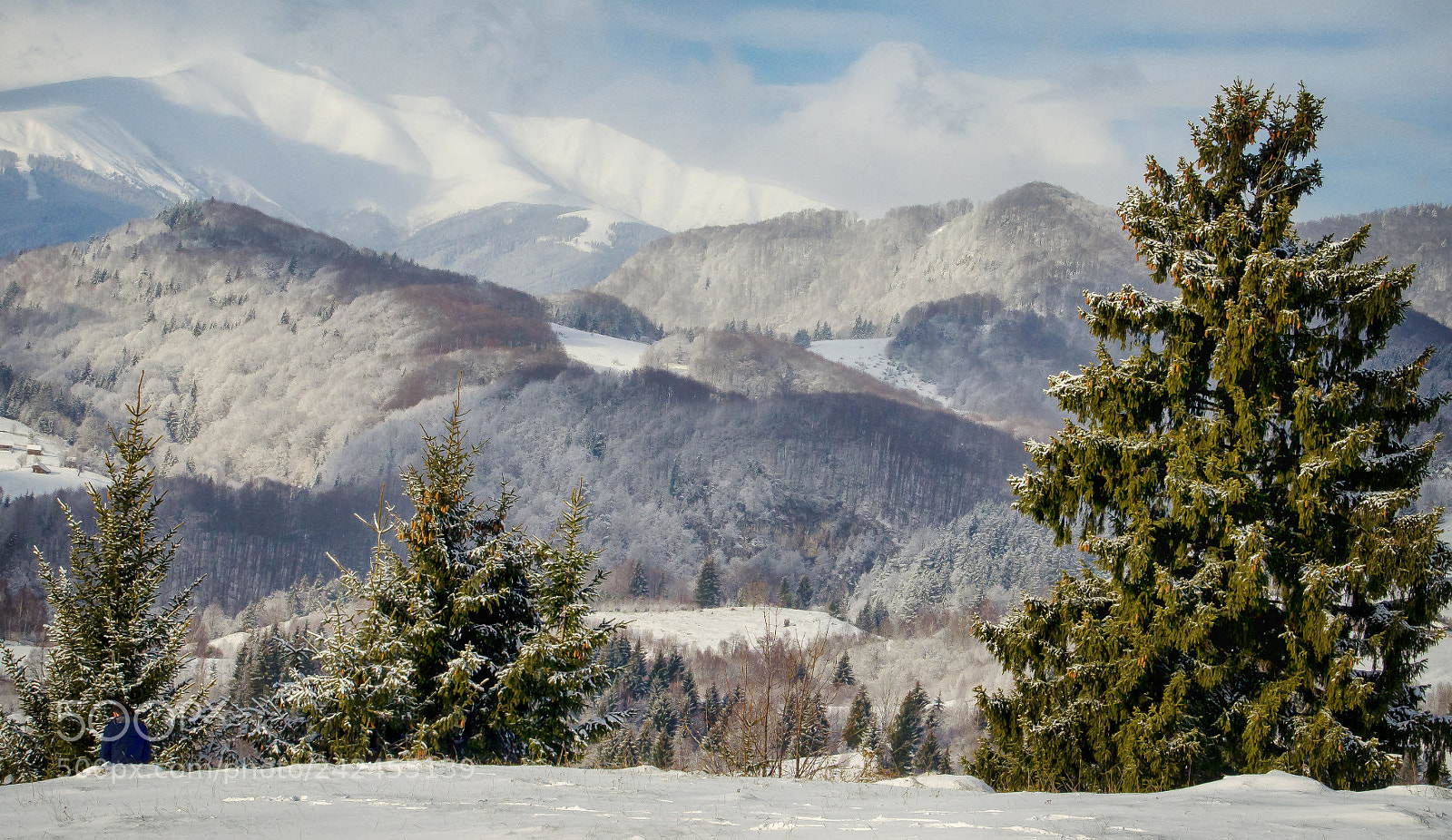 Nikon D5100 sample photo. Winter is coming photography
