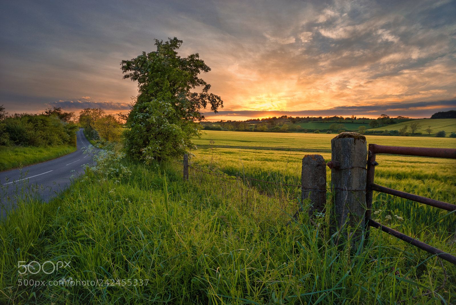 Sony a7R sample photo. Sunset over knossington photography