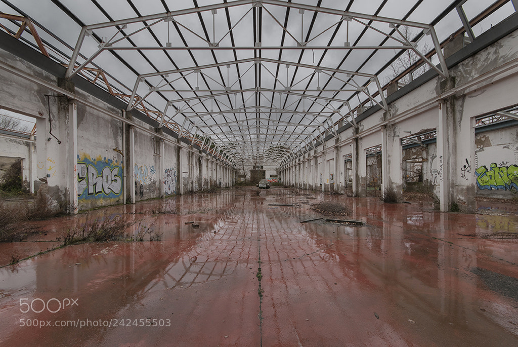 Nikon D300 sample photo. Rivoluzione industriale photography
