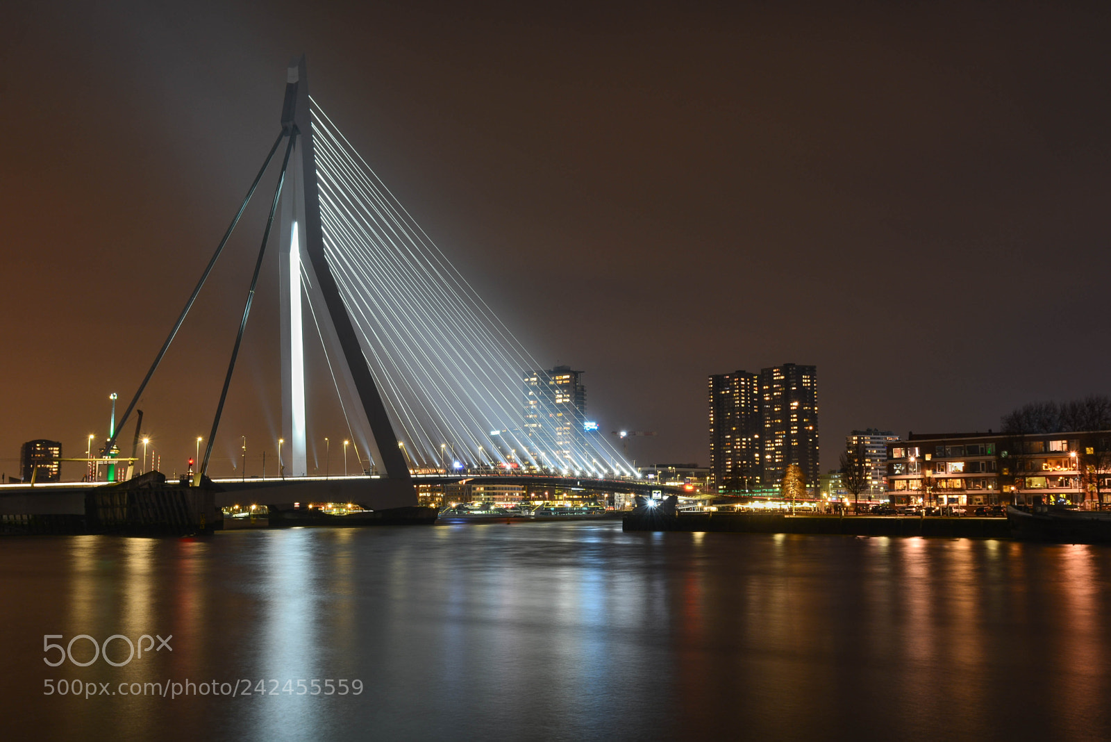 Nikon D7100 sample photo. Skyline rotterdam ll photography