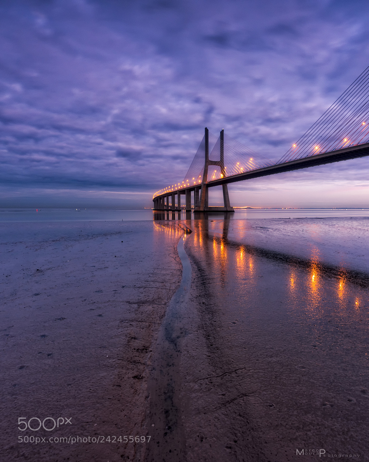 Nikon D810 sample photo. The path photography