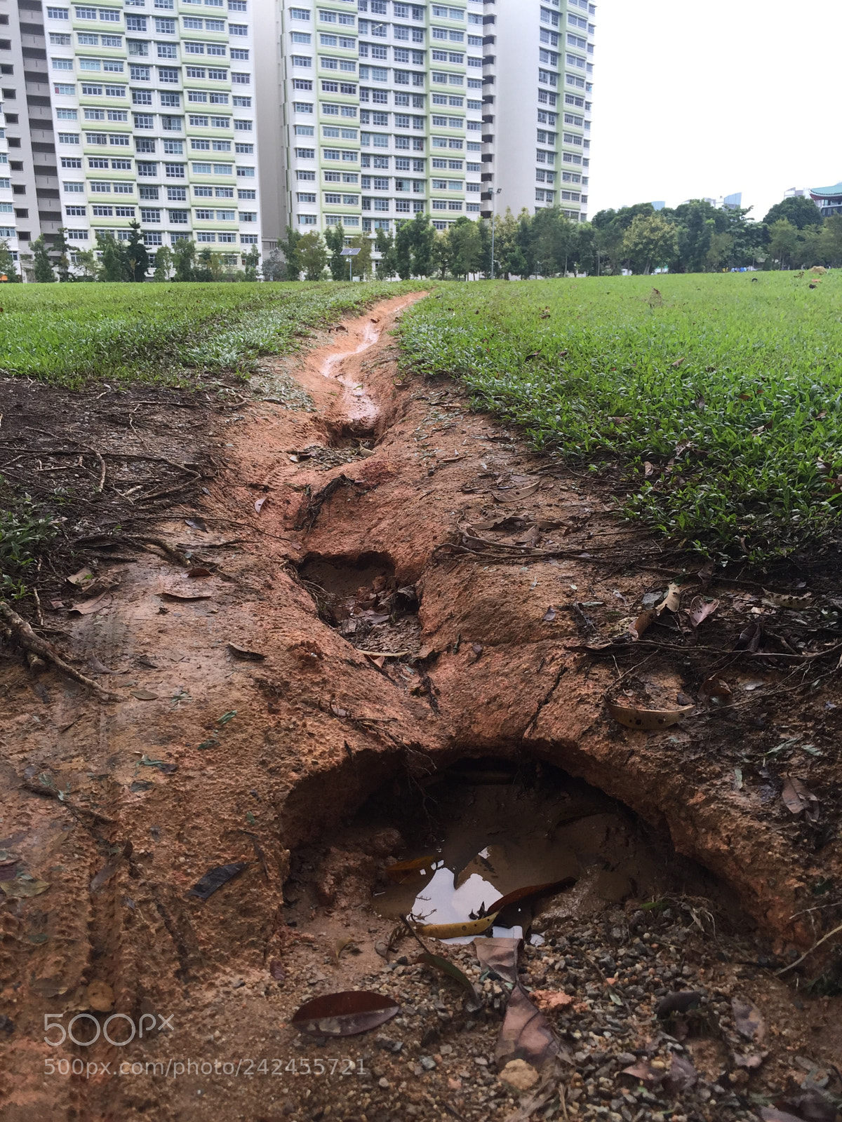 Apple iPhone 6 sample photo. Punggol reservoir one point photography