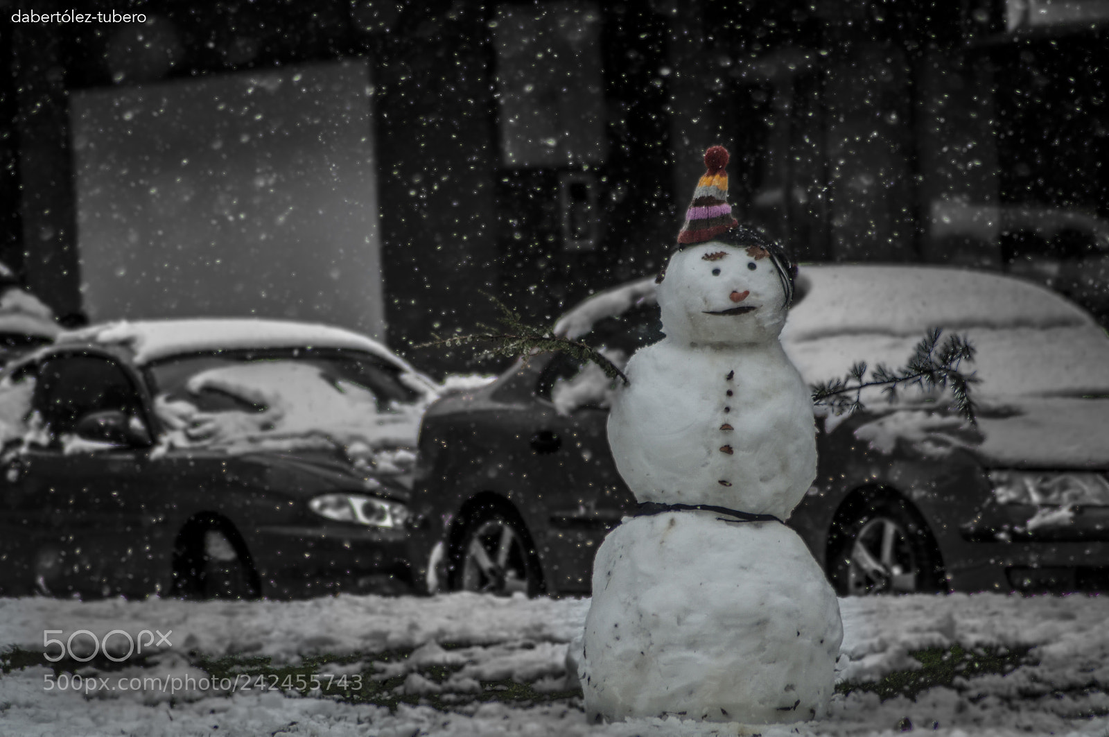 Nikon D90 sample photo. No podi a faltar photography
