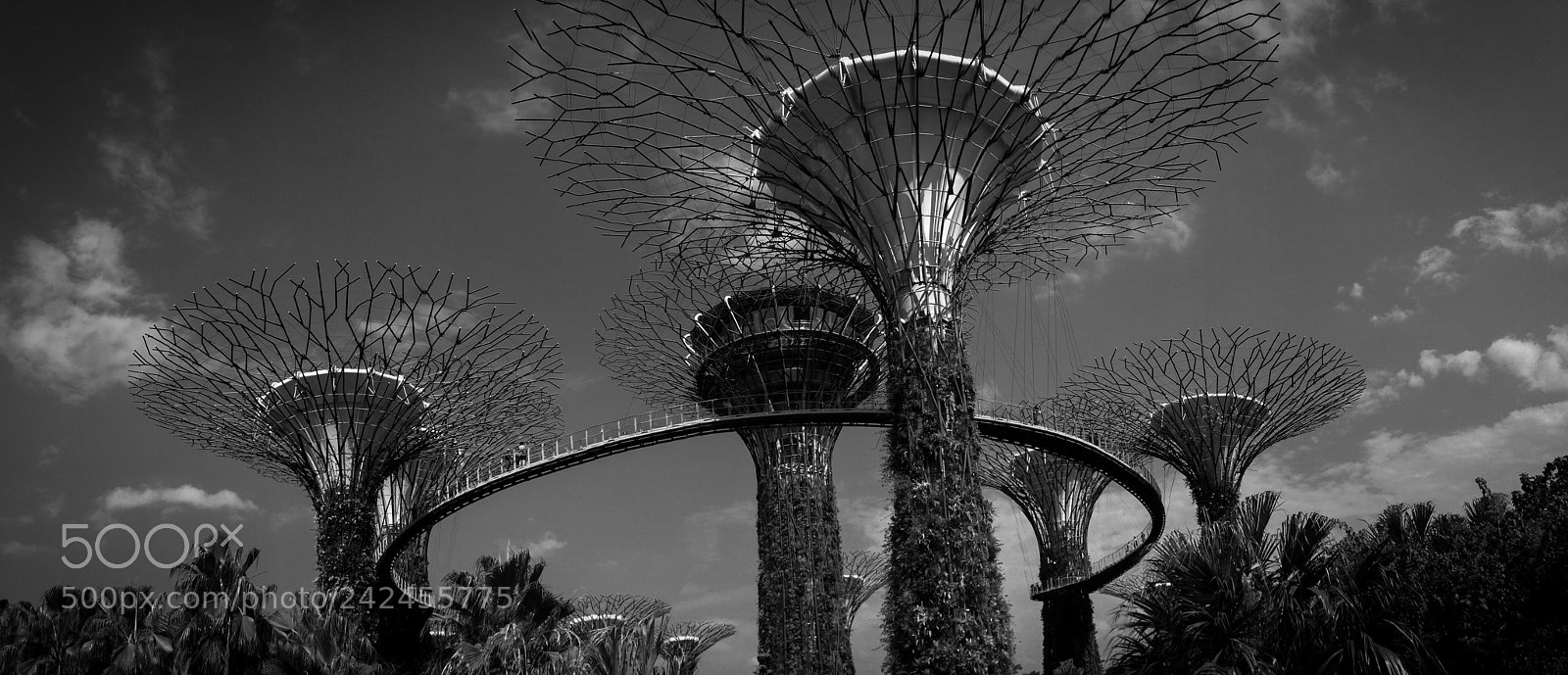 Apple iPad mini 4 sample photo. Singapore photography