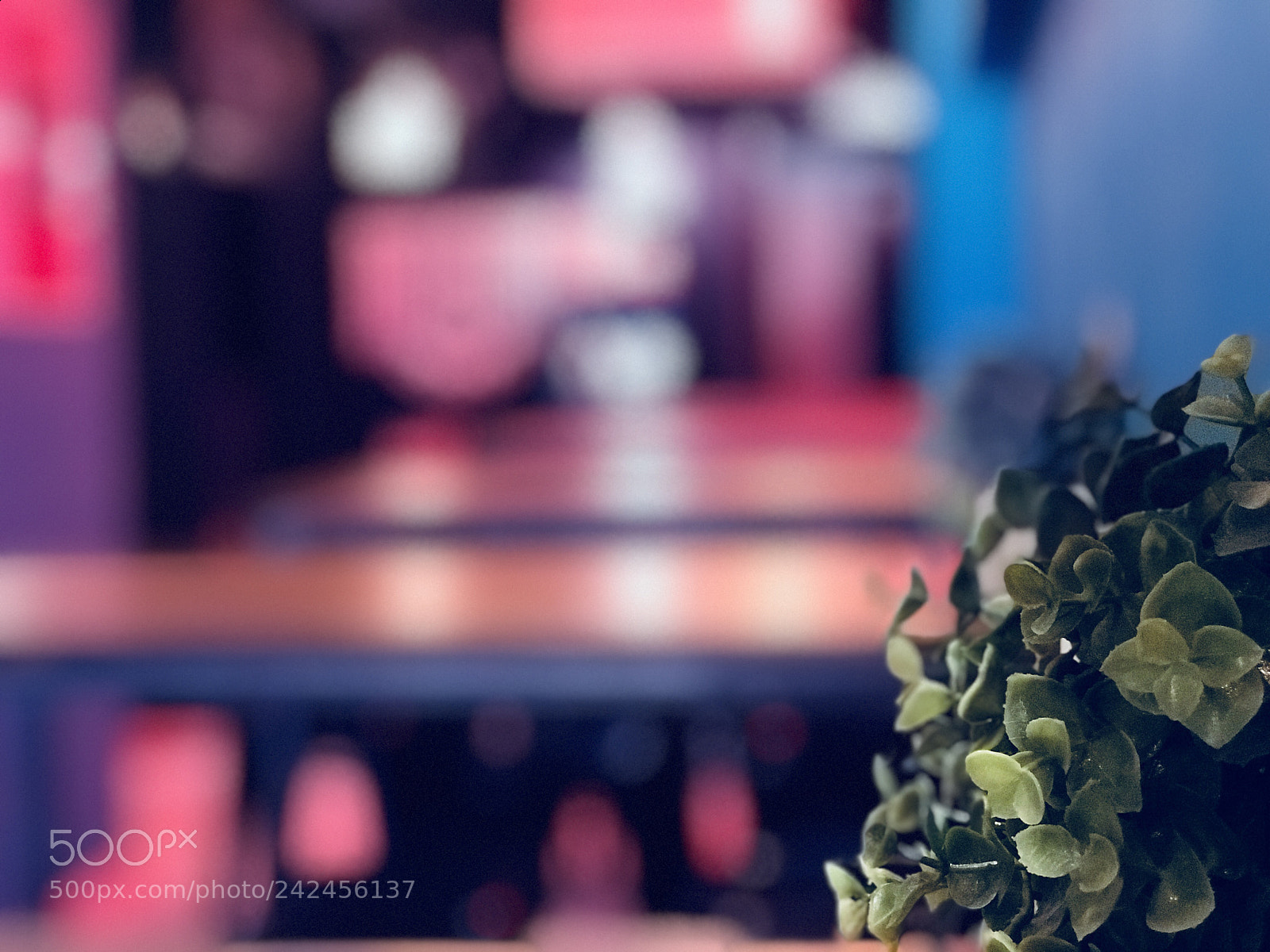 Apple iPhone 7 Plus sample photo. La madriguera craft beer photography
