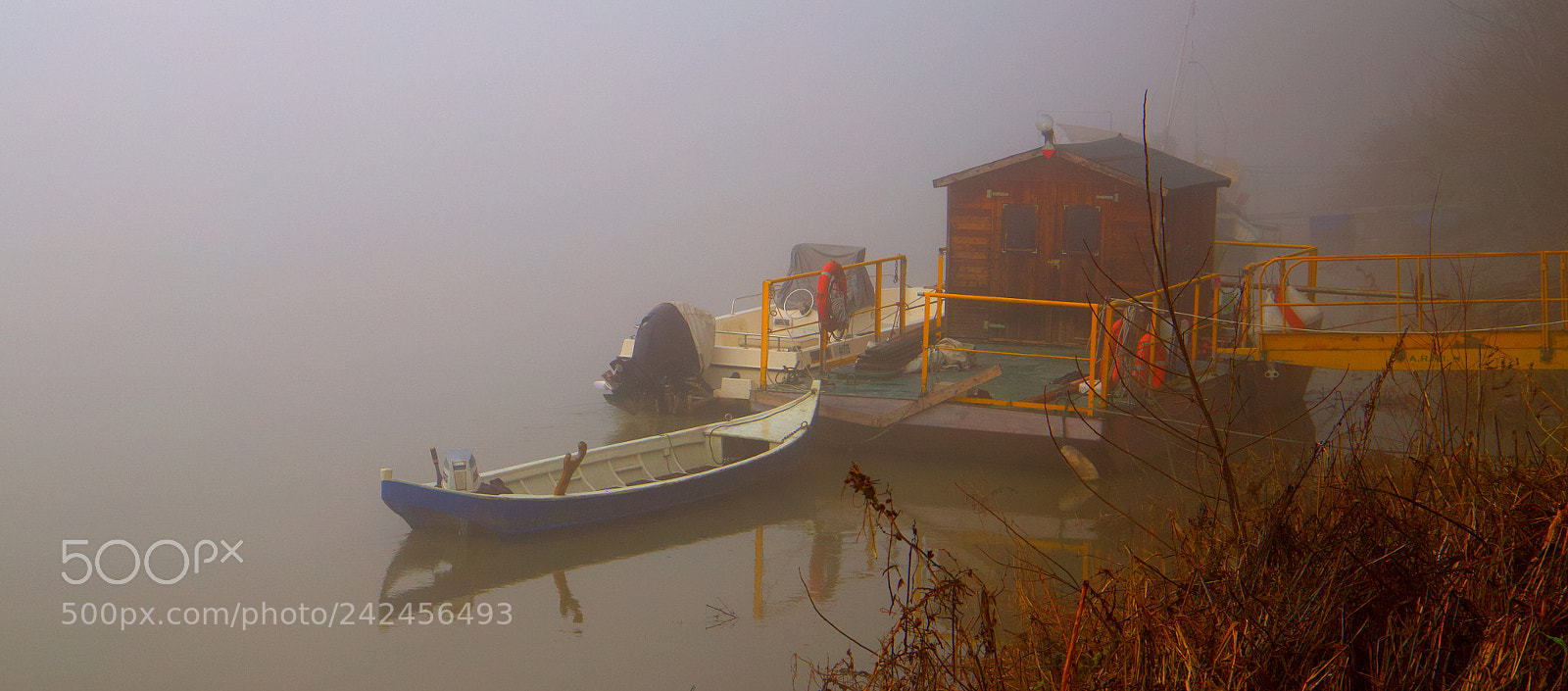 Canon EOS 6D Mark II sample photo. Fog photography