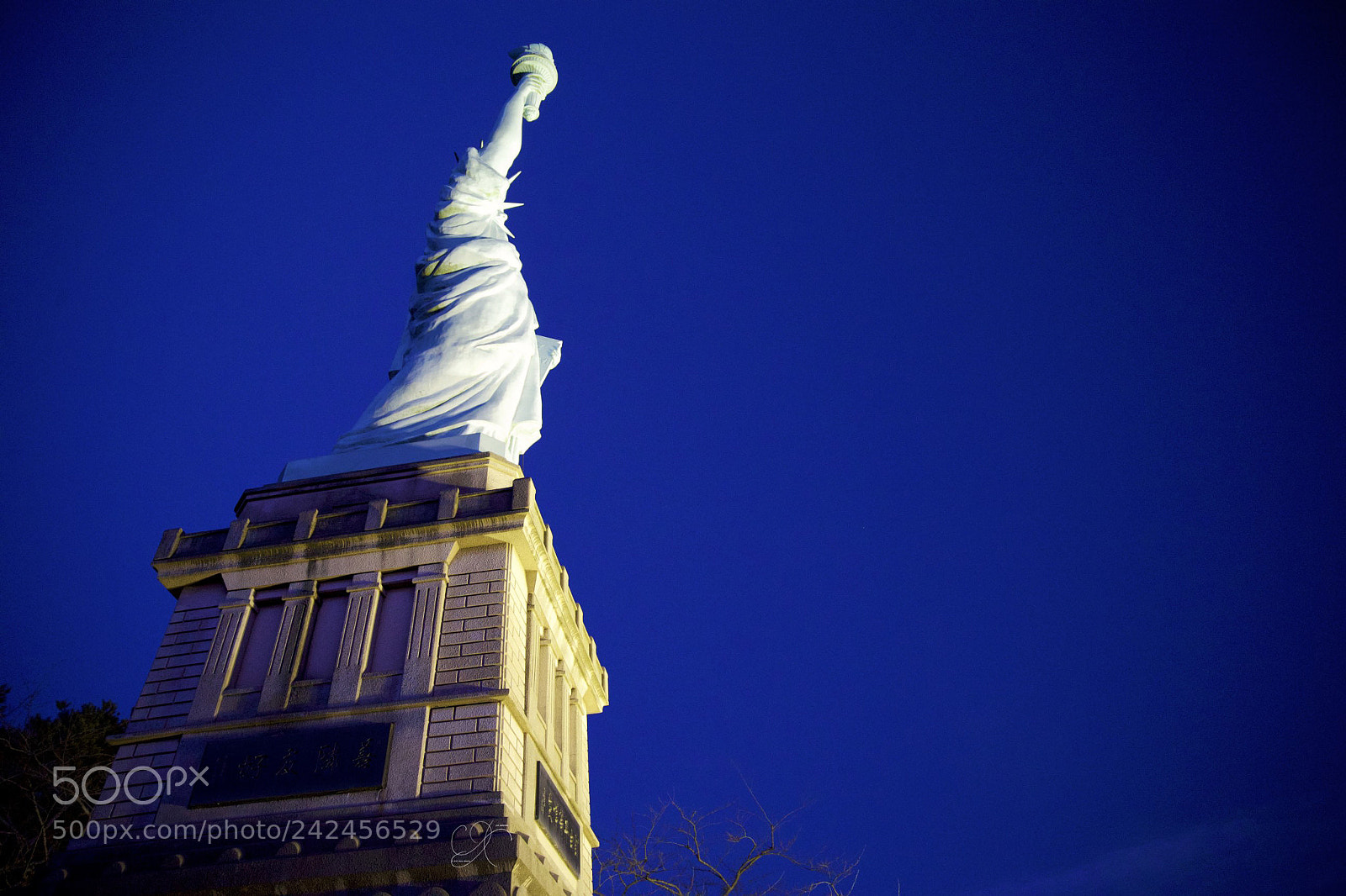 Canon EOS-1D X sample photo. Liberty in the park photography
